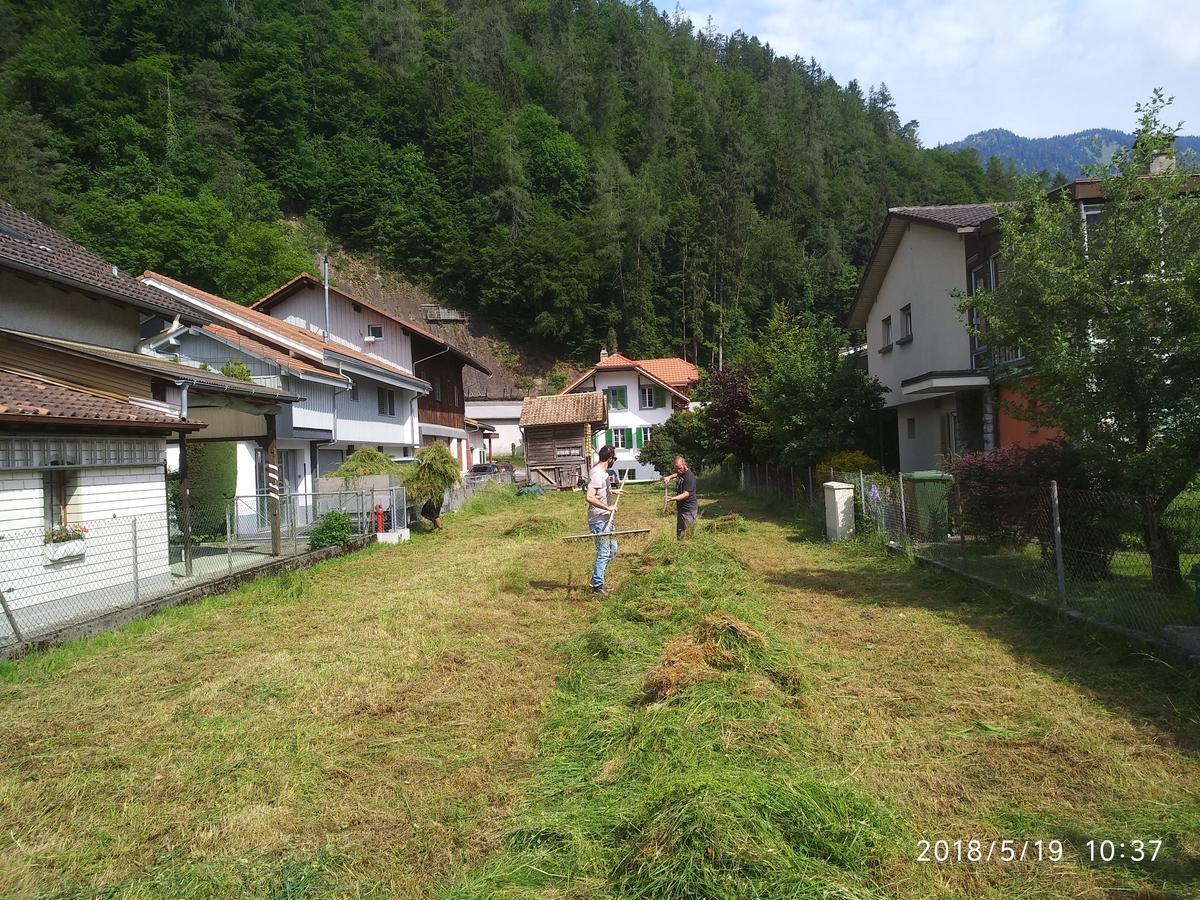 Jungfrau Family Holiday Home Matten bei Interlaken Dış mekan fotoğraf